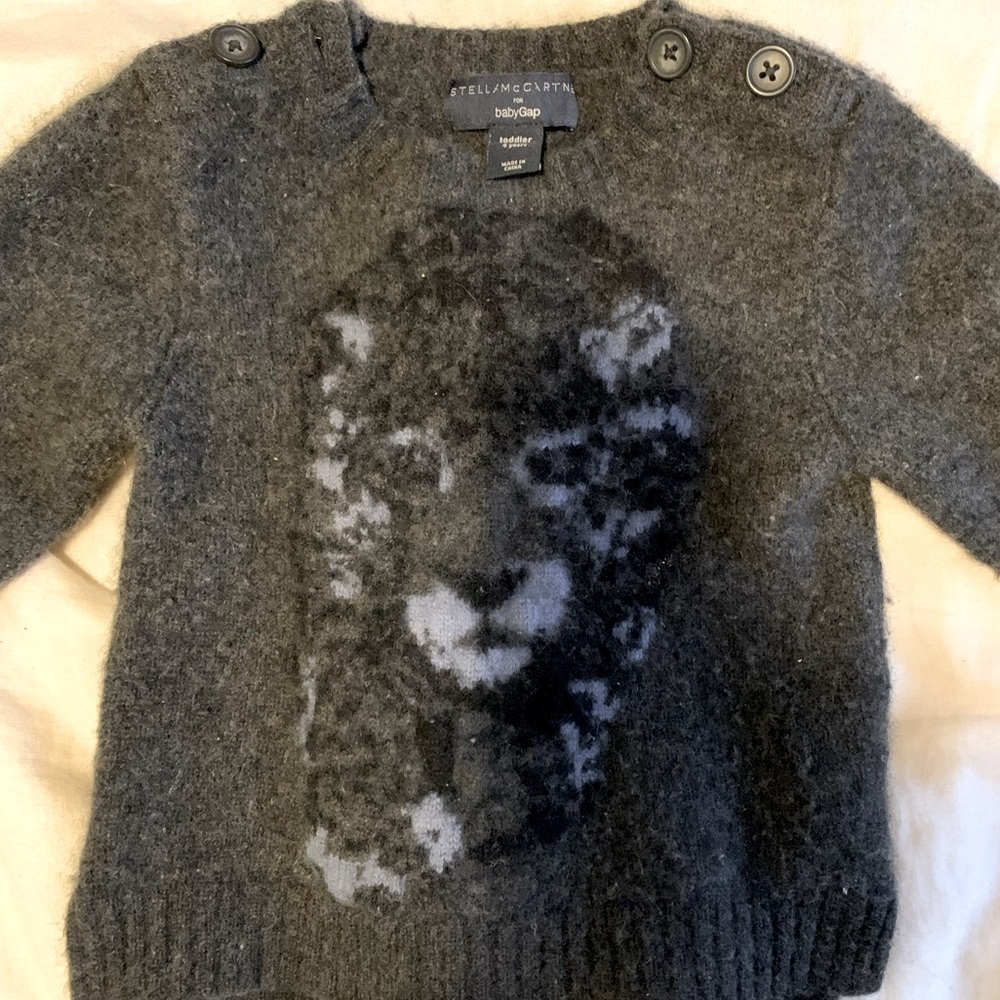 Stella McCartney x Gap Sweater